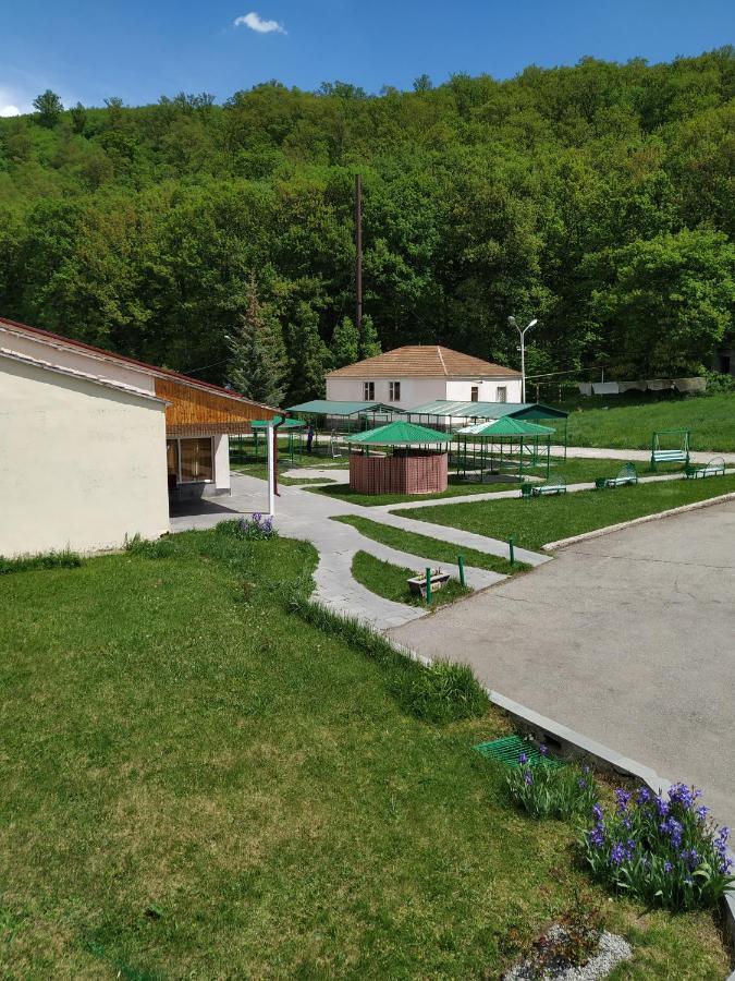 Aliq Hotel Țaghkadzor Exterior foto
