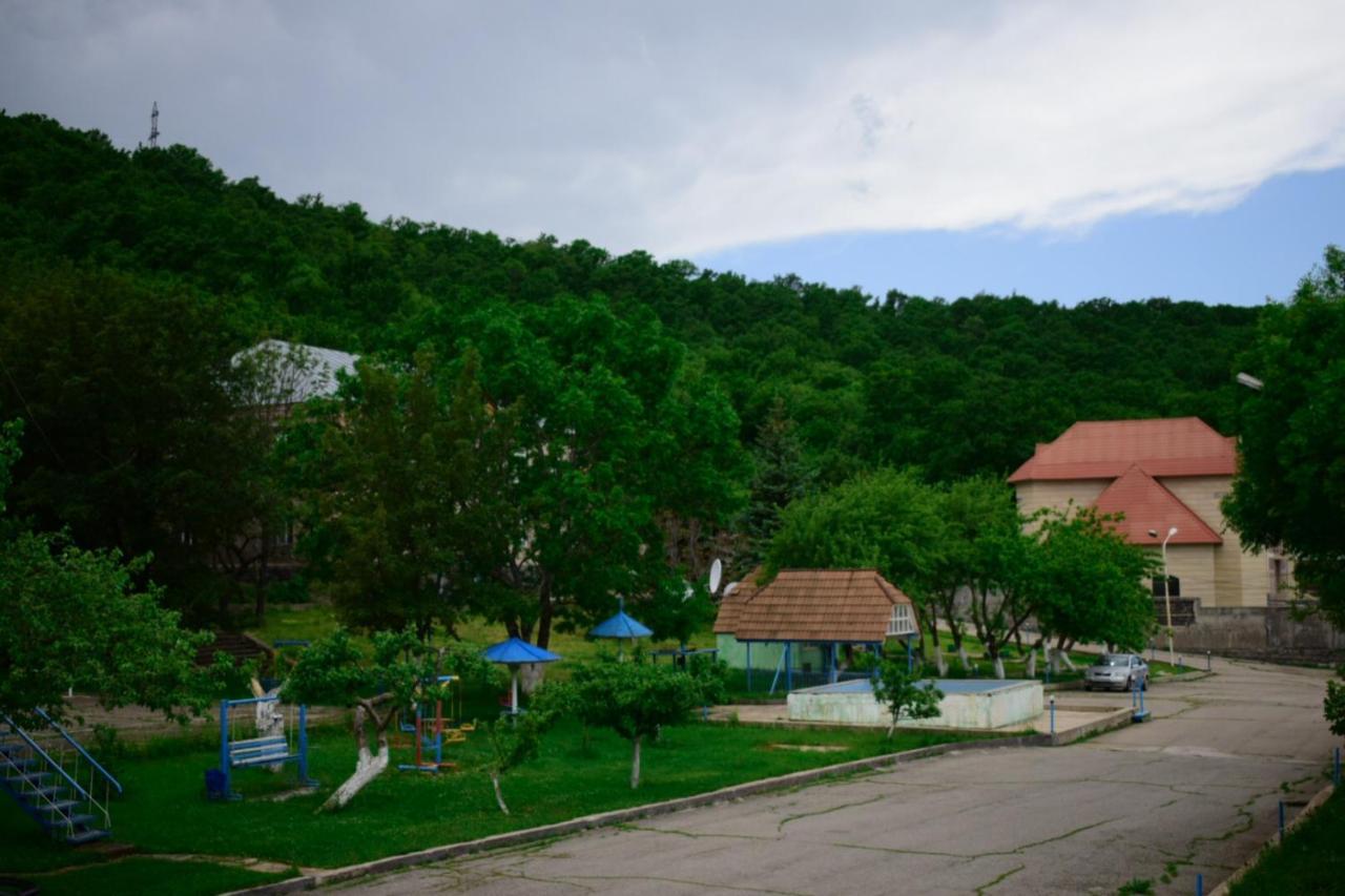 Aliq Hotel Țaghkadzor Exterior foto